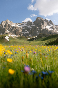 Cazare Petroșani în primăvară: activități în Valea Jiului | Camere de Închiriat